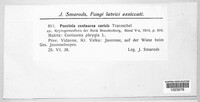 Puccinia centaureae image